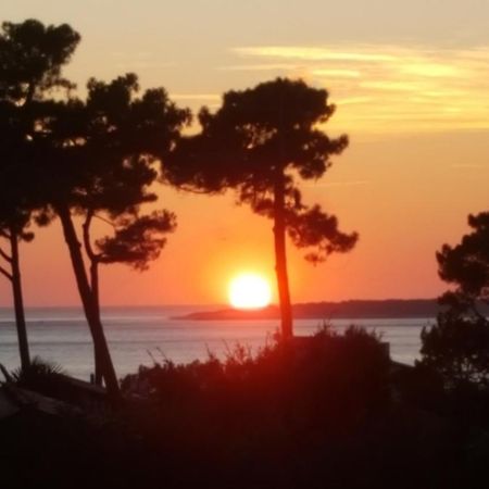 Chambre D'Hotes Pyla Sur Mer 拉特斯特德布赫 外观 照片