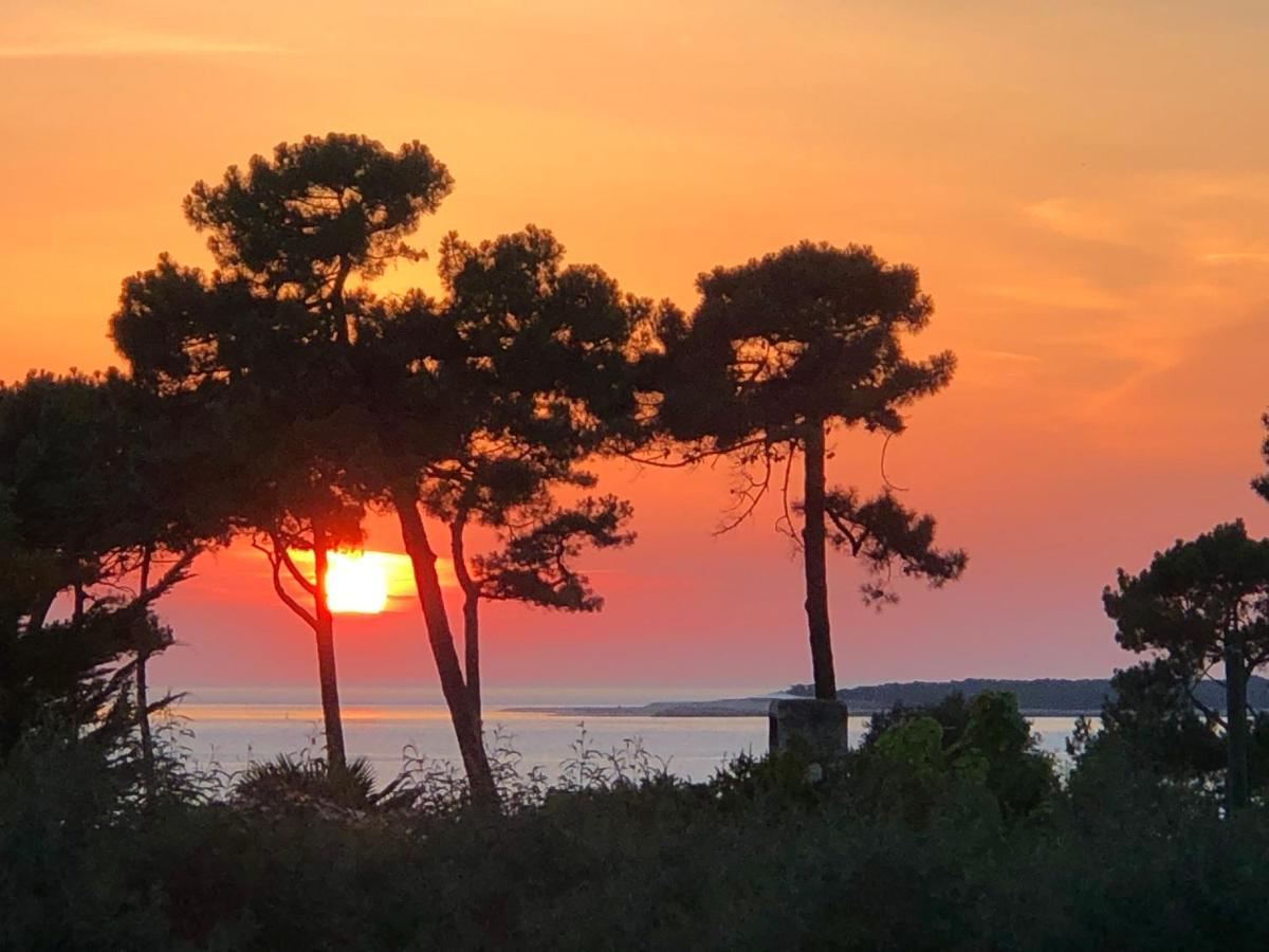 Chambre D'Hotes Pyla Sur Mer 拉特斯特德布赫 外观 照片