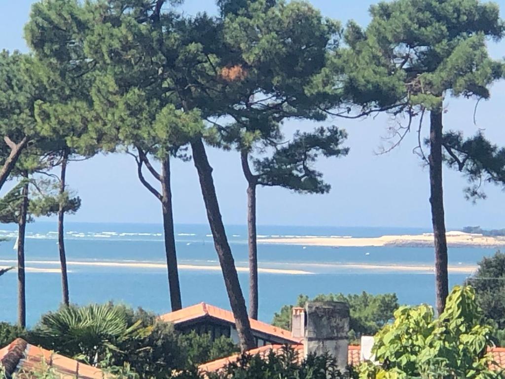 Chambre D'Hotes Pyla Sur Mer 拉特斯特德布赫 外观 照片