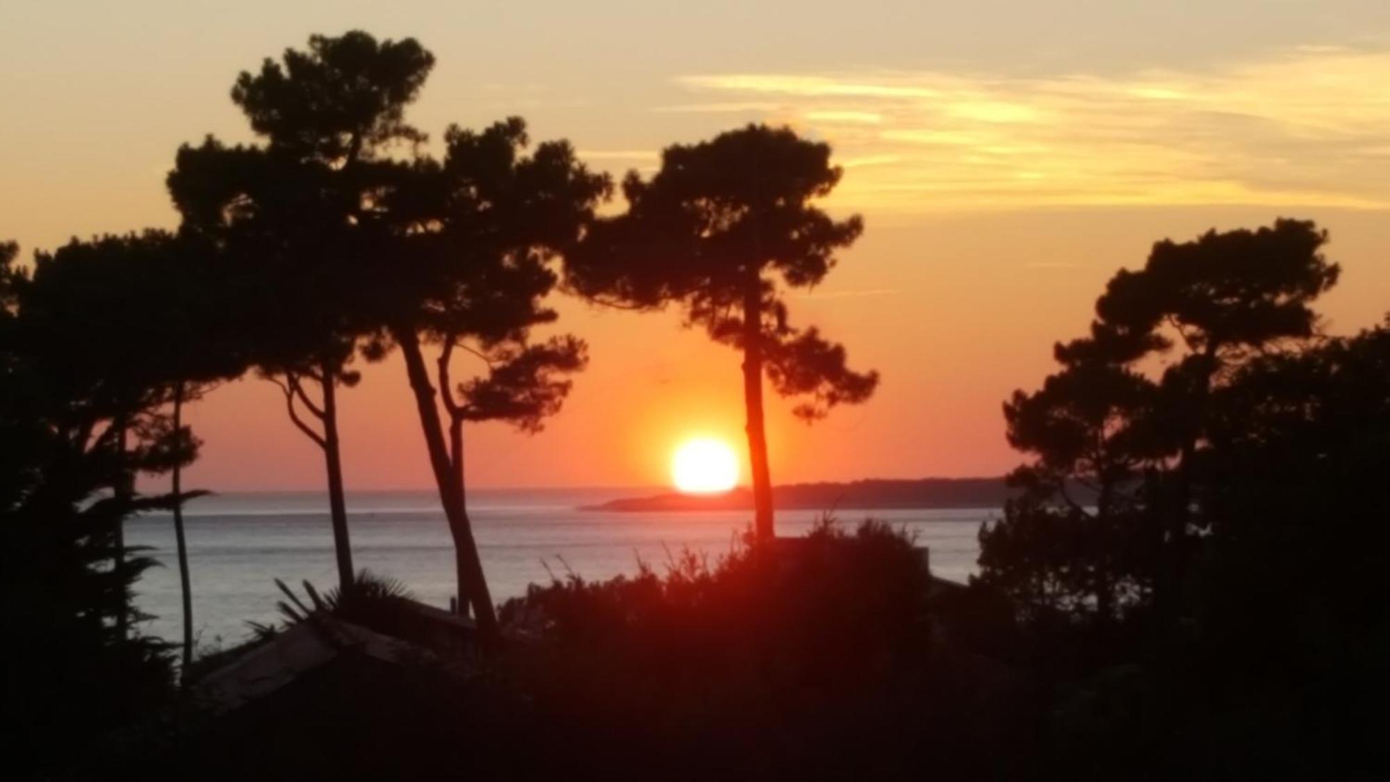 Chambre D'Hotes Pyla Sur Mer 拉特斯特德布赫 外观 照片